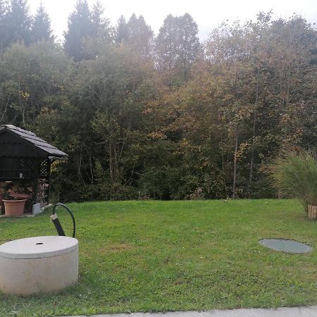 Apartma Gace Semic Kültér fotó